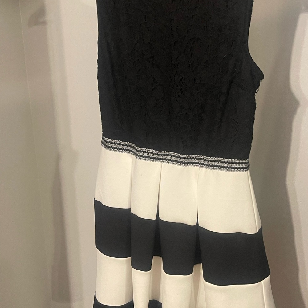 Speechless Black and White Fit and Flare Mini Dress